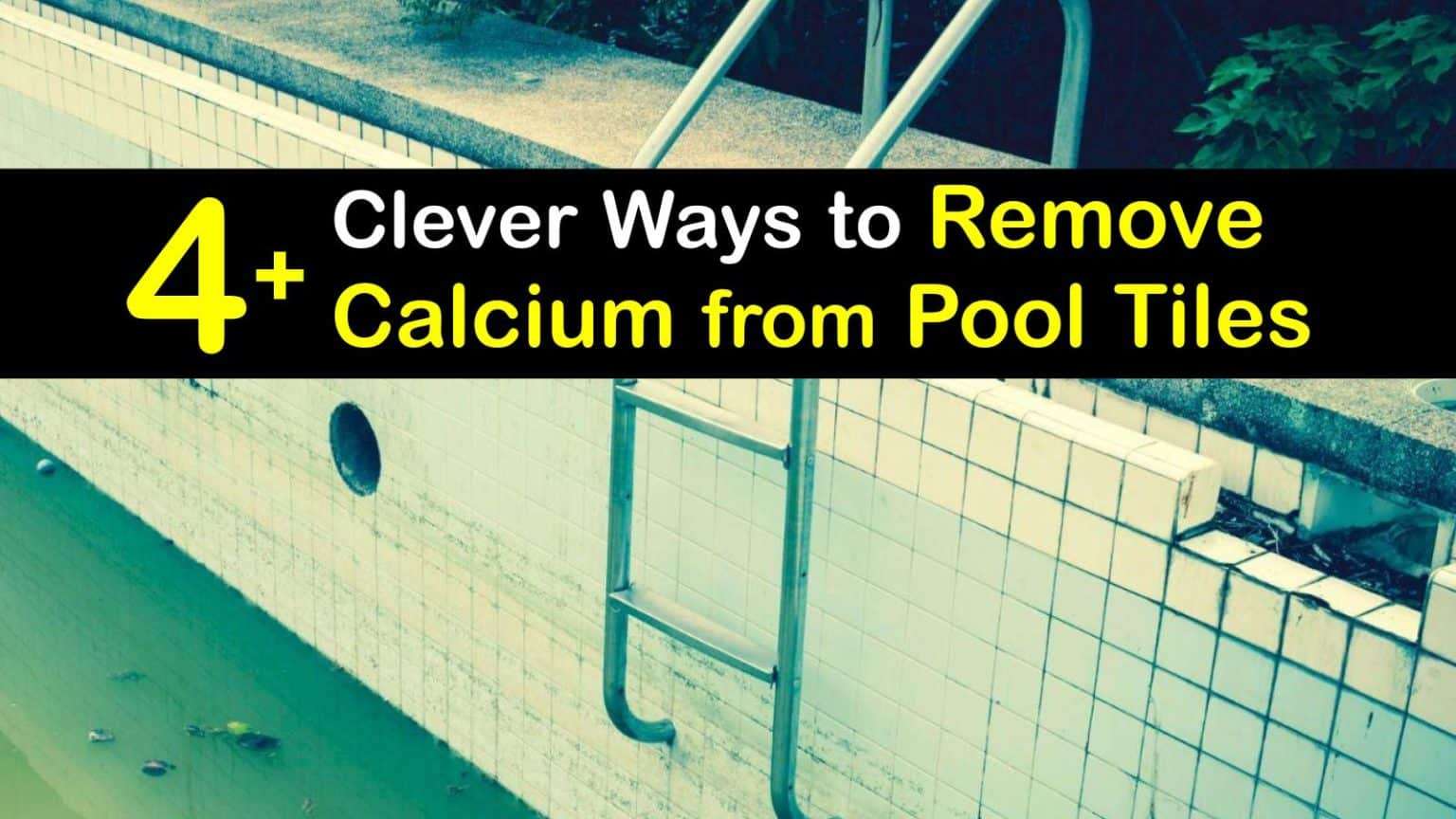 4+ Clever Ways to Remove Calcium Deposits from Swimming ...