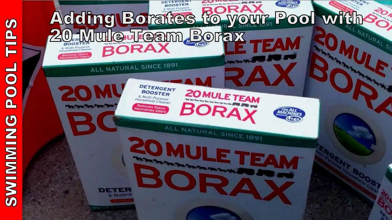 Adding Borates to Your Pool with 20 Mule Team Borax (level of 30