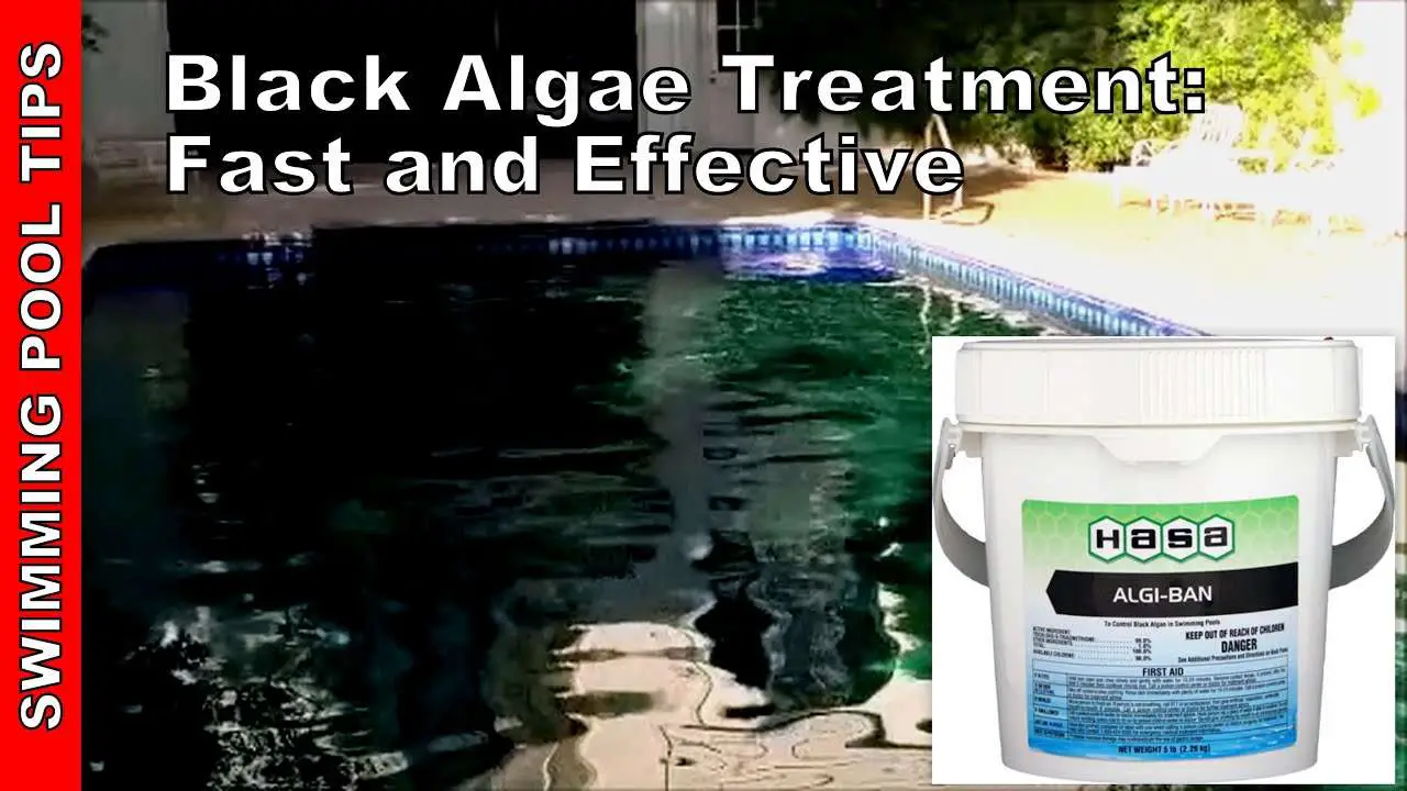 Black Algae Treatment, Get Rid of Black Algae in Your Pool