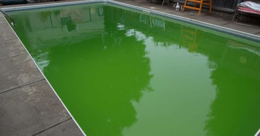 Does Bleach Kill Algae in Pool?