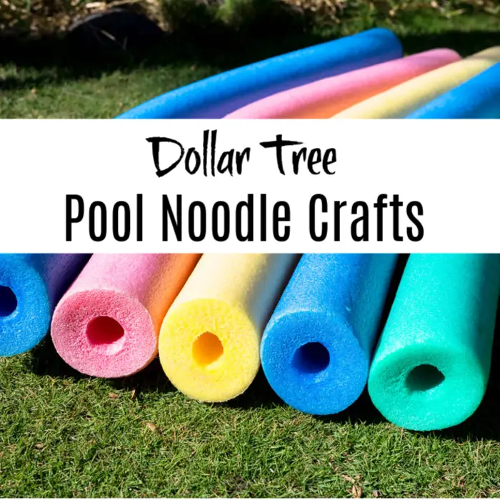Dollar Tree Pool Noodles Crafts And Fun