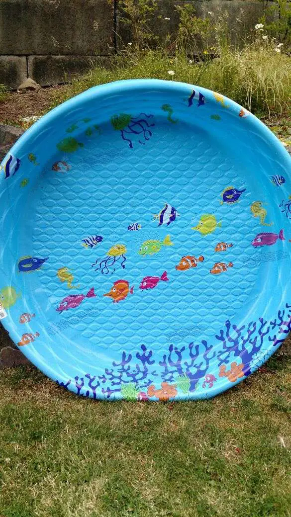FREE Hard plastic kiddie pool NEW! for Sale in Bellingham ...