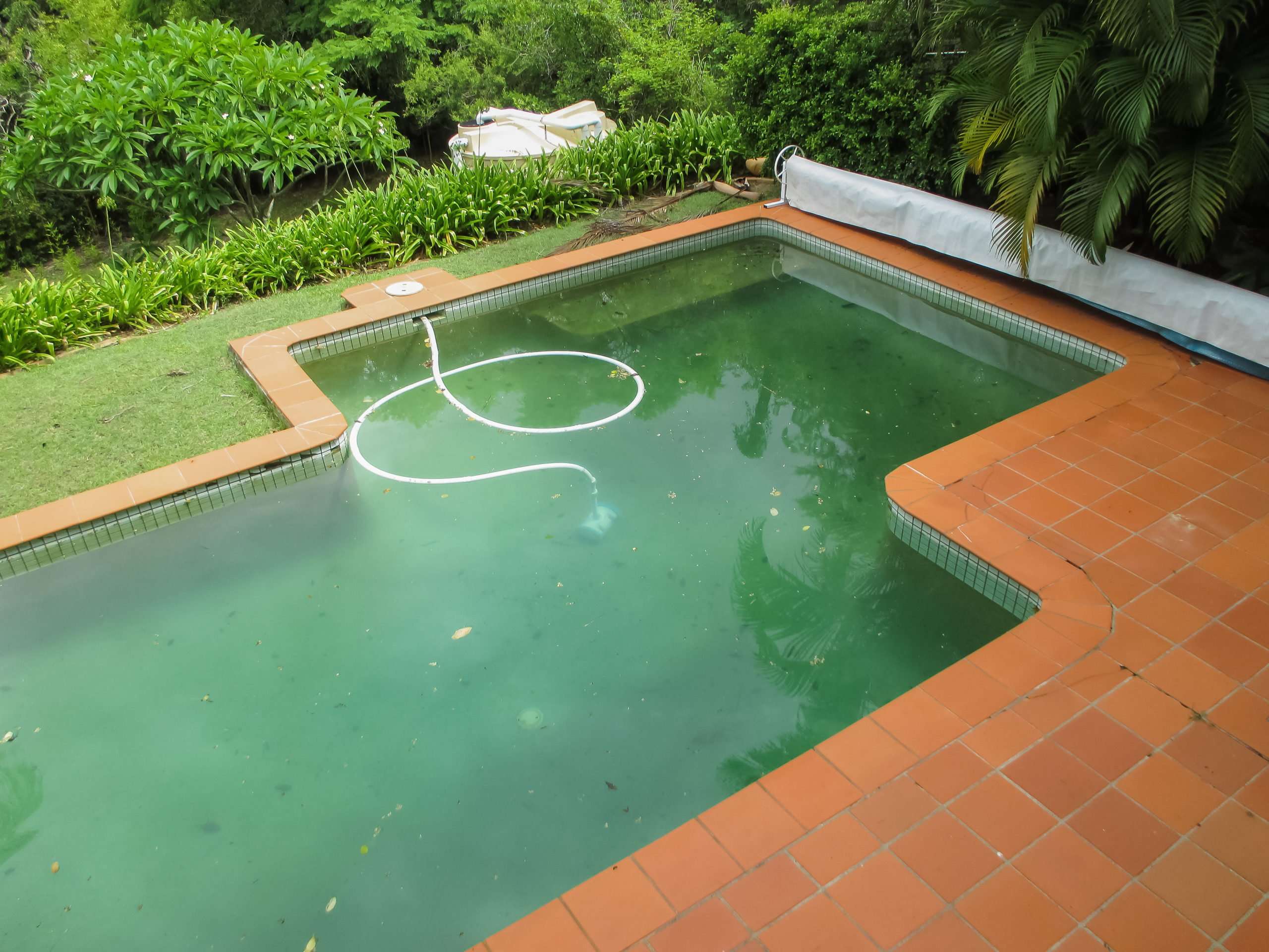 Get Rid Of Swimming Pool Algae Quickly With Easy 13 Steps ...