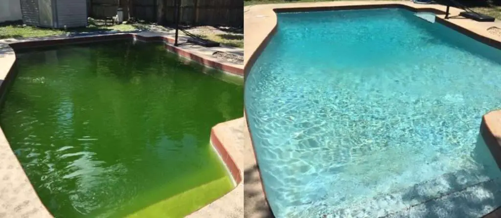 Green Algae In Pool