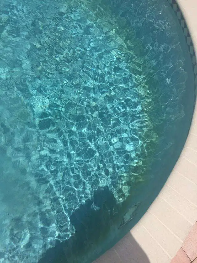 How do I get rid of these stains in my pool? Its ...
