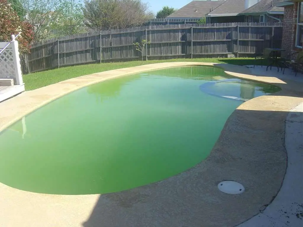 How Do I Protect My Pool From Algae?