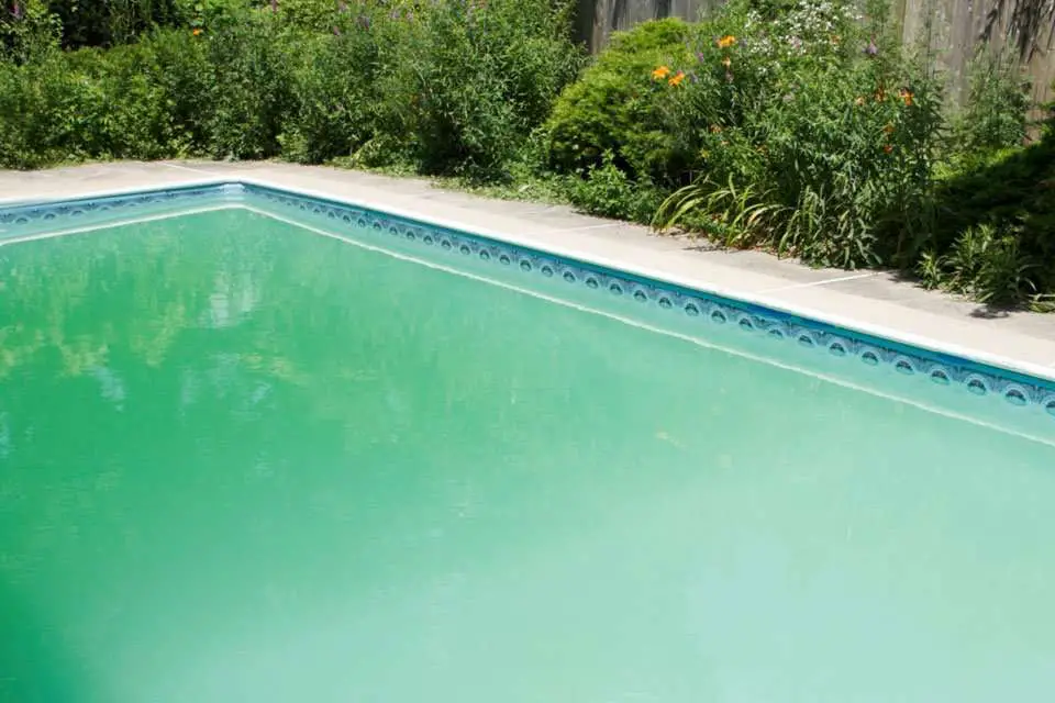 How Do I Remove Algae From My Pool : 3 Ways To Eliminate ...