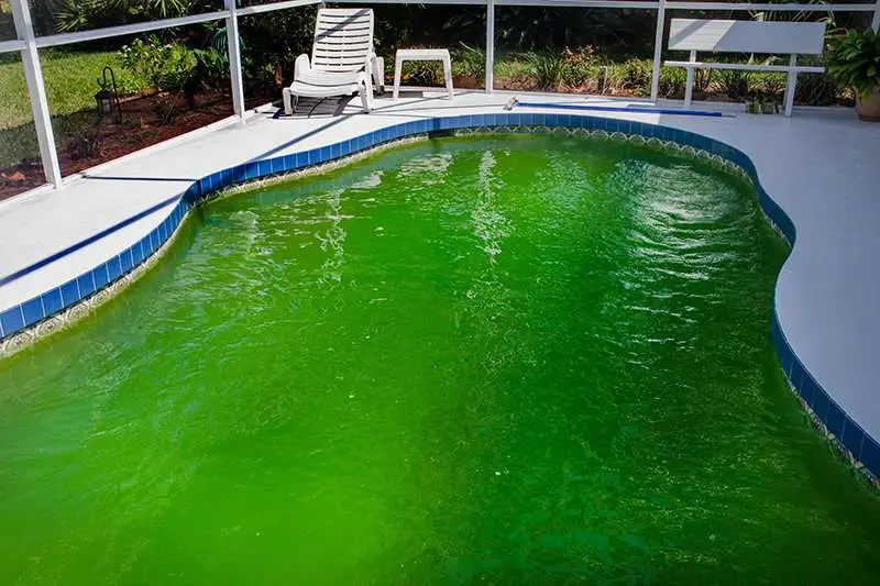 How to Clear a Green Pool