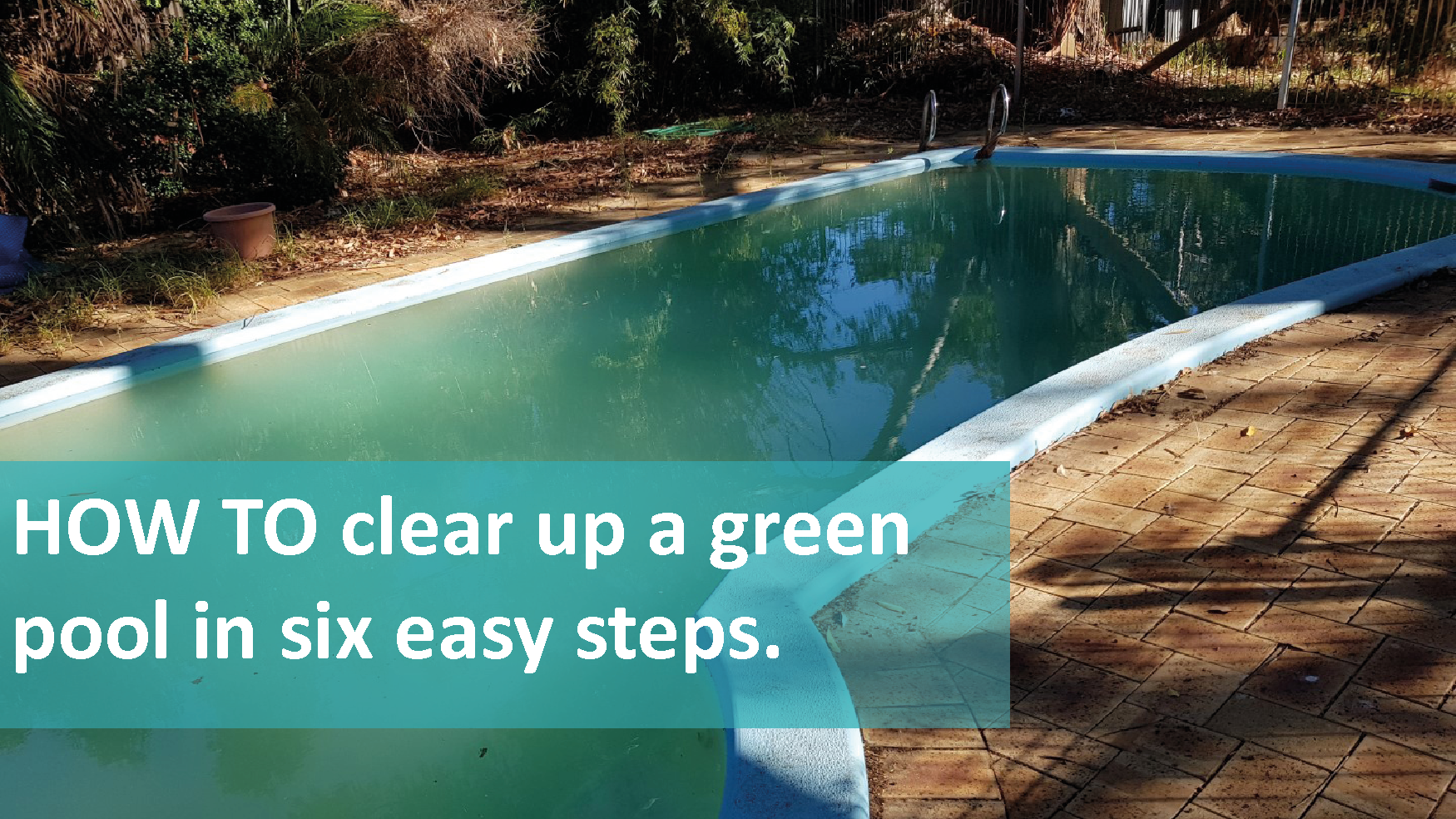 How To Clear Up A Green Pool In 6 Easy Steps