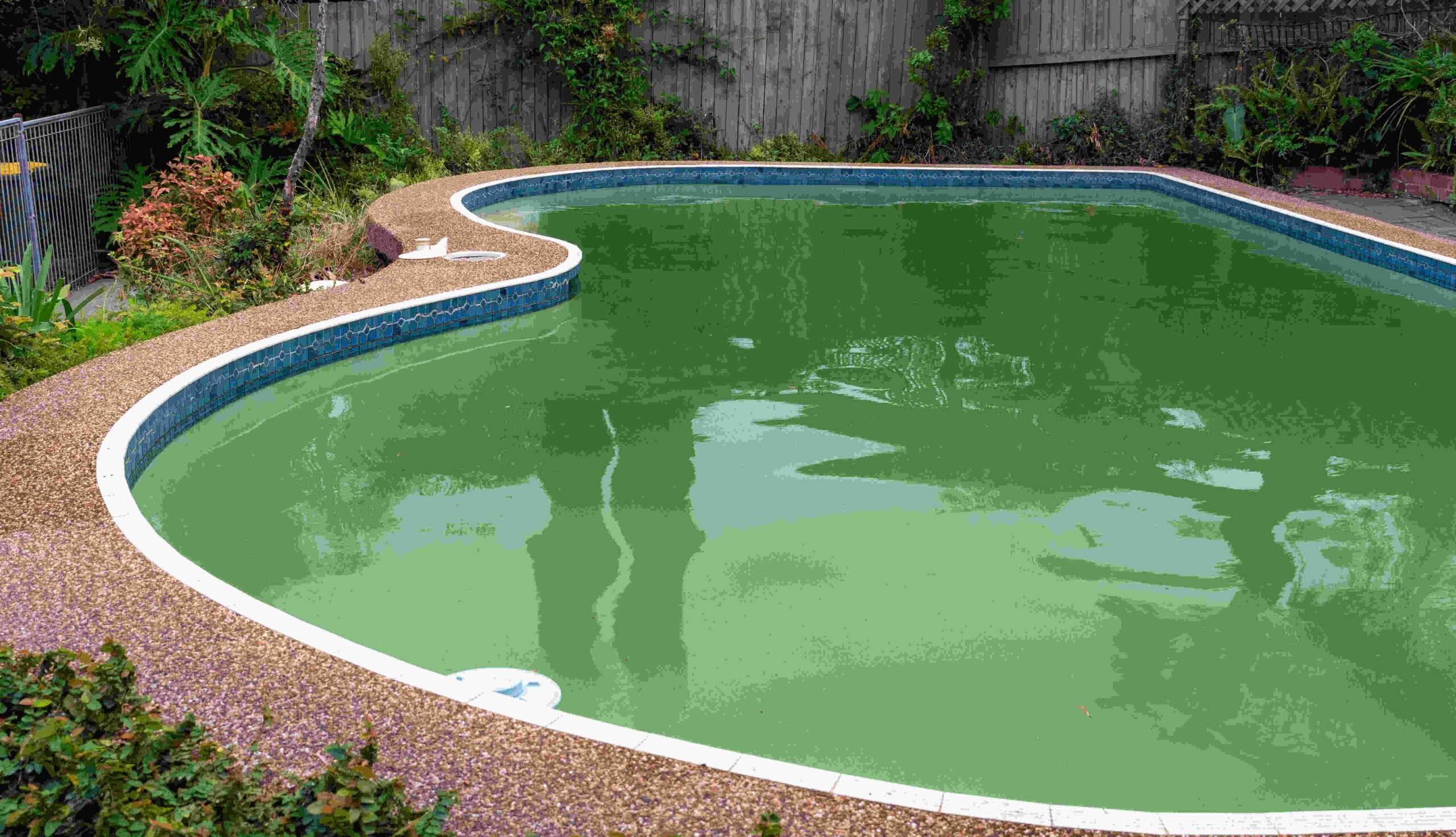 How To Get Algae Out Of Your Pool