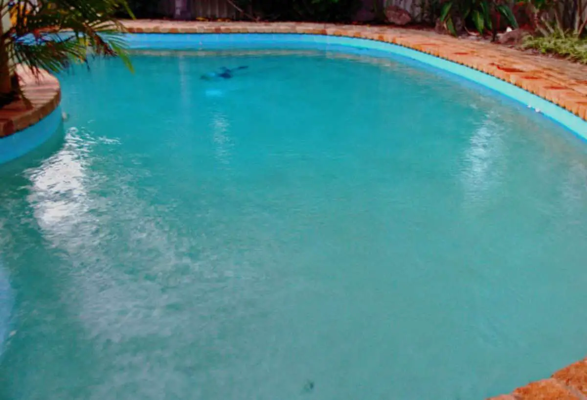 How to Get Rid of Algae in a Pool Without Chemicals ...