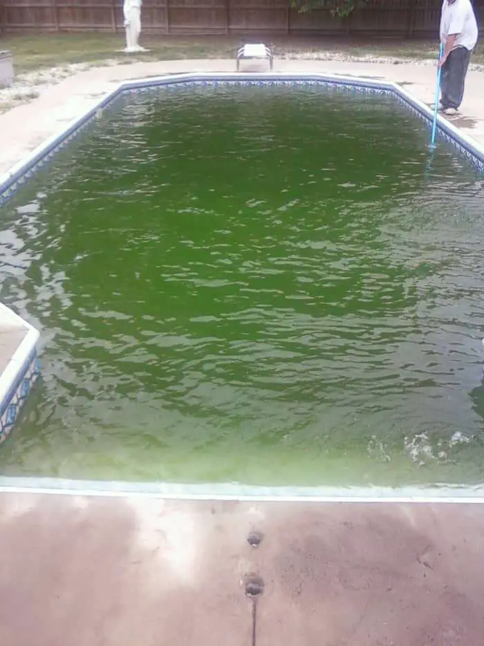 How To Get Rid of Algae In Pool Without Chemicals ...