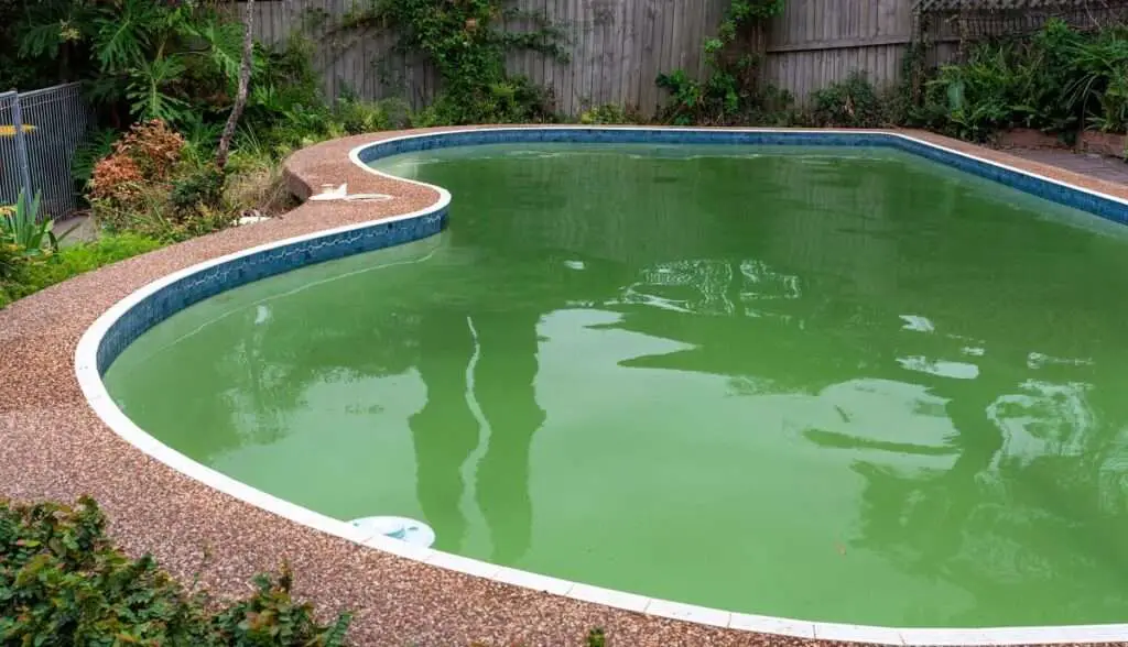 How to Get Rid of Green Algae in Pool