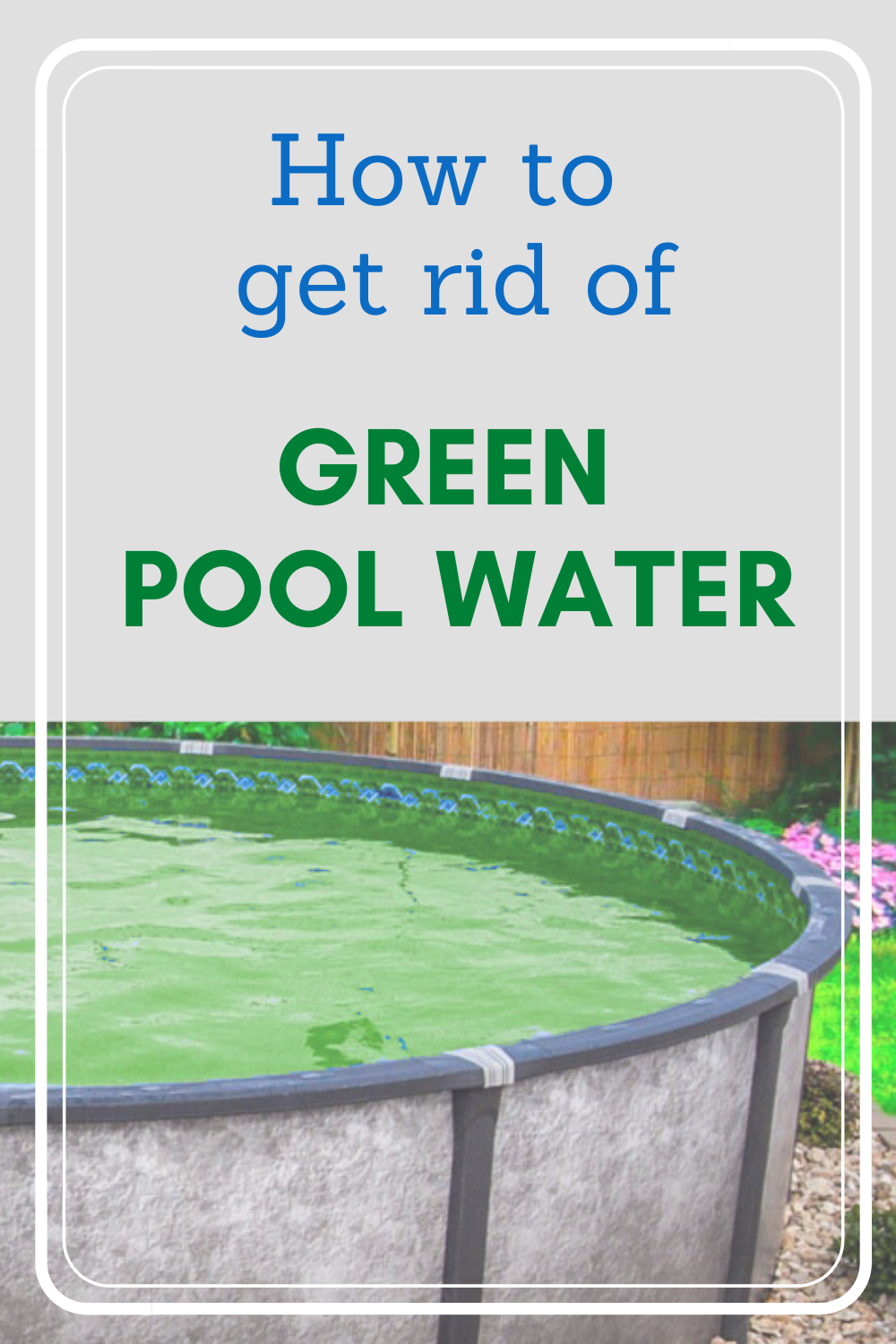 How to Get Rid of Green Pool Water in 2020