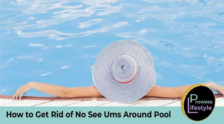 How to Get Rid of No See Ums in the Yard, at the Beach, in ...