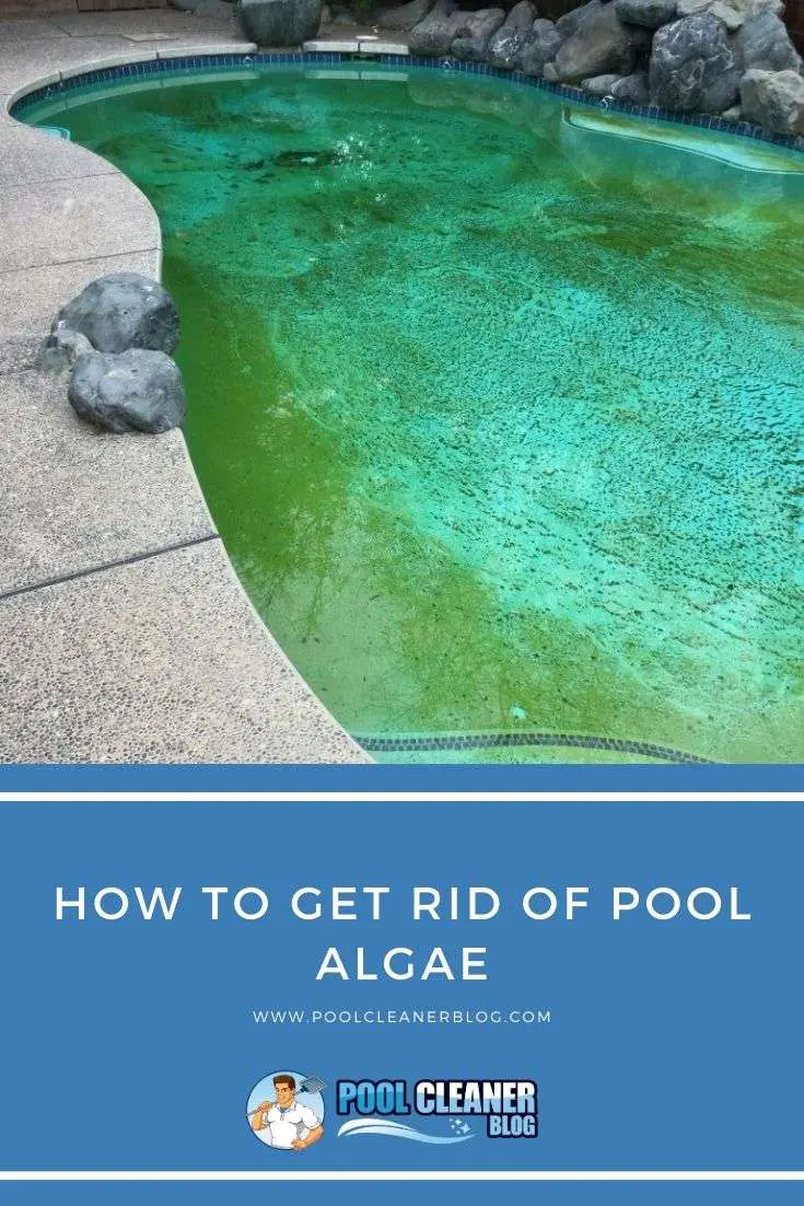How to Get Rid of Pool Algae