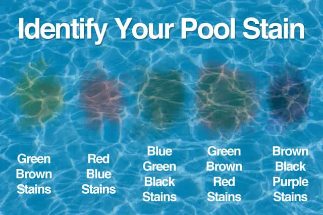 How to Identify and Remove Pool Stains