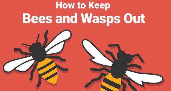 How To Keep Bees And Wasps Away From Your Pool
