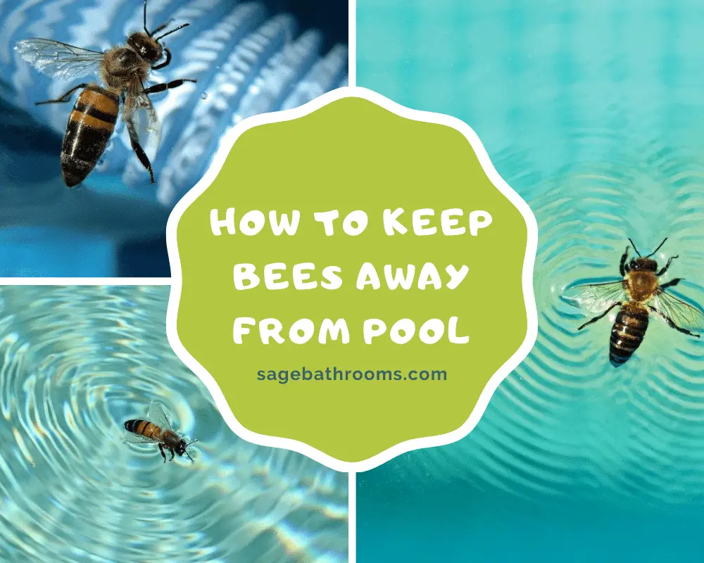 How To Keep Bees Away From Pool?