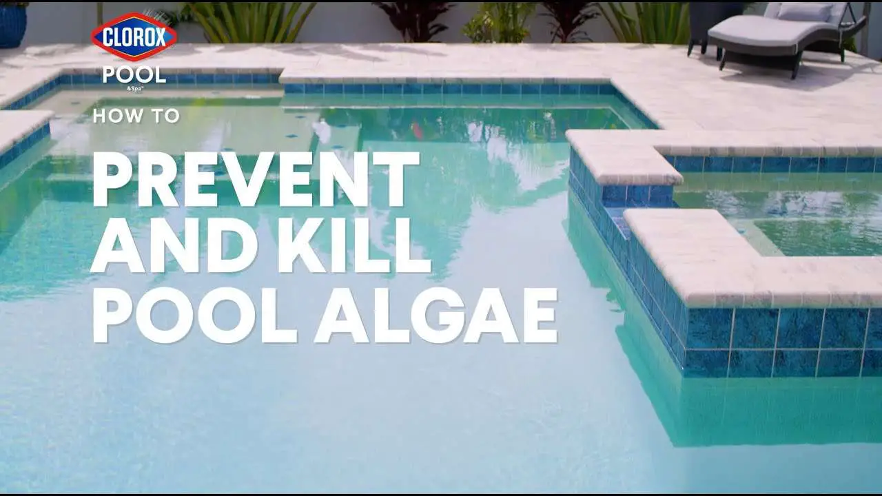 How to Kill Green, Mustard and Black Pool Algae