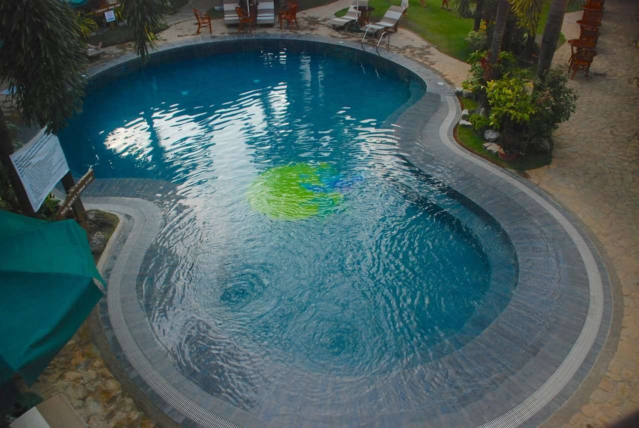 How to Prevent Algae Growth in Your Swimming Pool ...