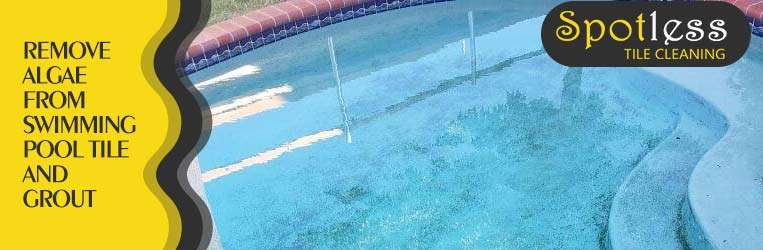 How To Remove Algae From Swimming Pool Tile And Grout ...