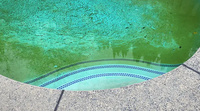 How to Remove Dead Algae from the Pool Bottom?