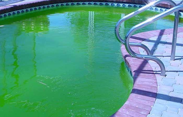 How to Remove Dead Algae & Stains from Pool Bottom & Walls ...