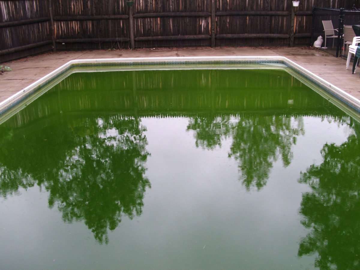 How to Remove Phosphates from Pool Water?