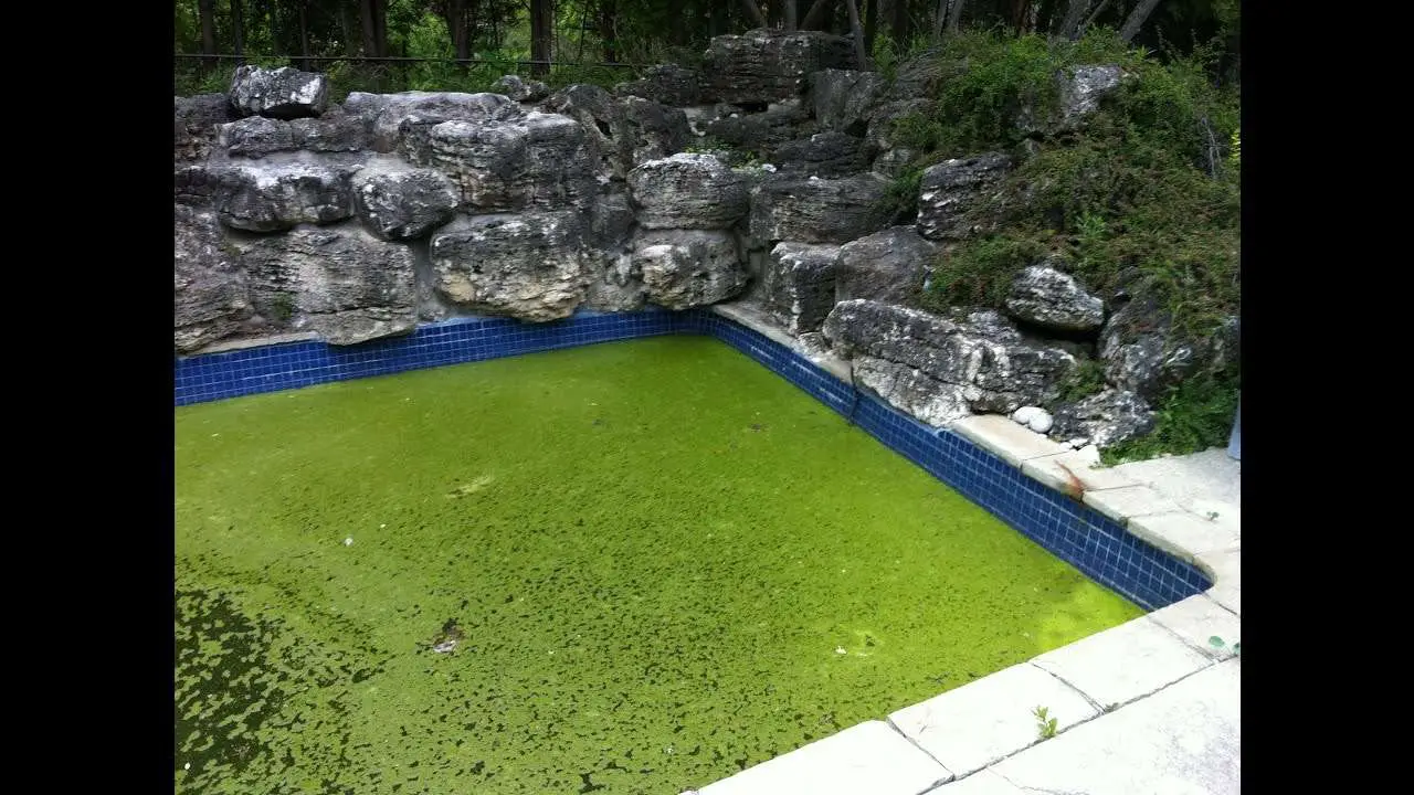How To Remove Phosphates From Pool Water