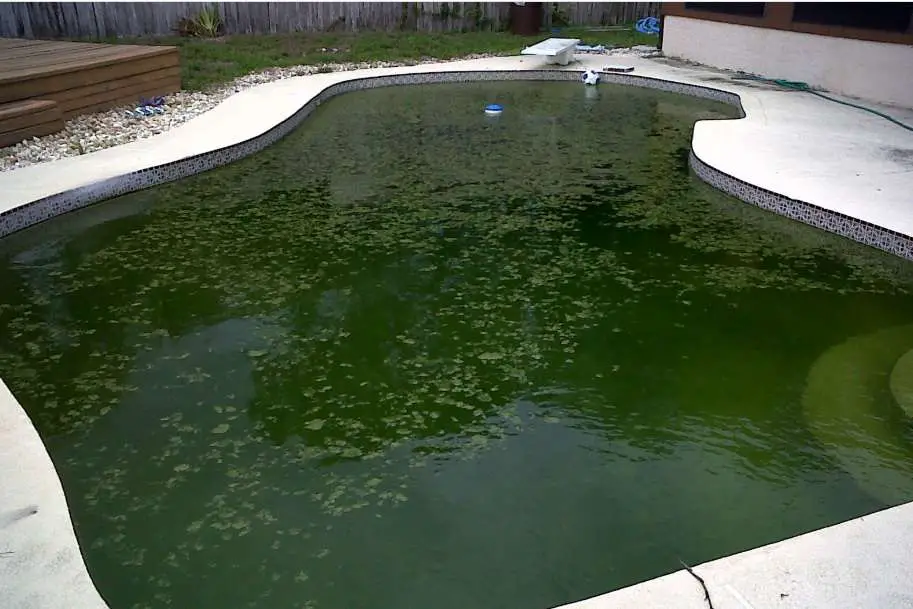 How To Treat Green Water Swimming Pool