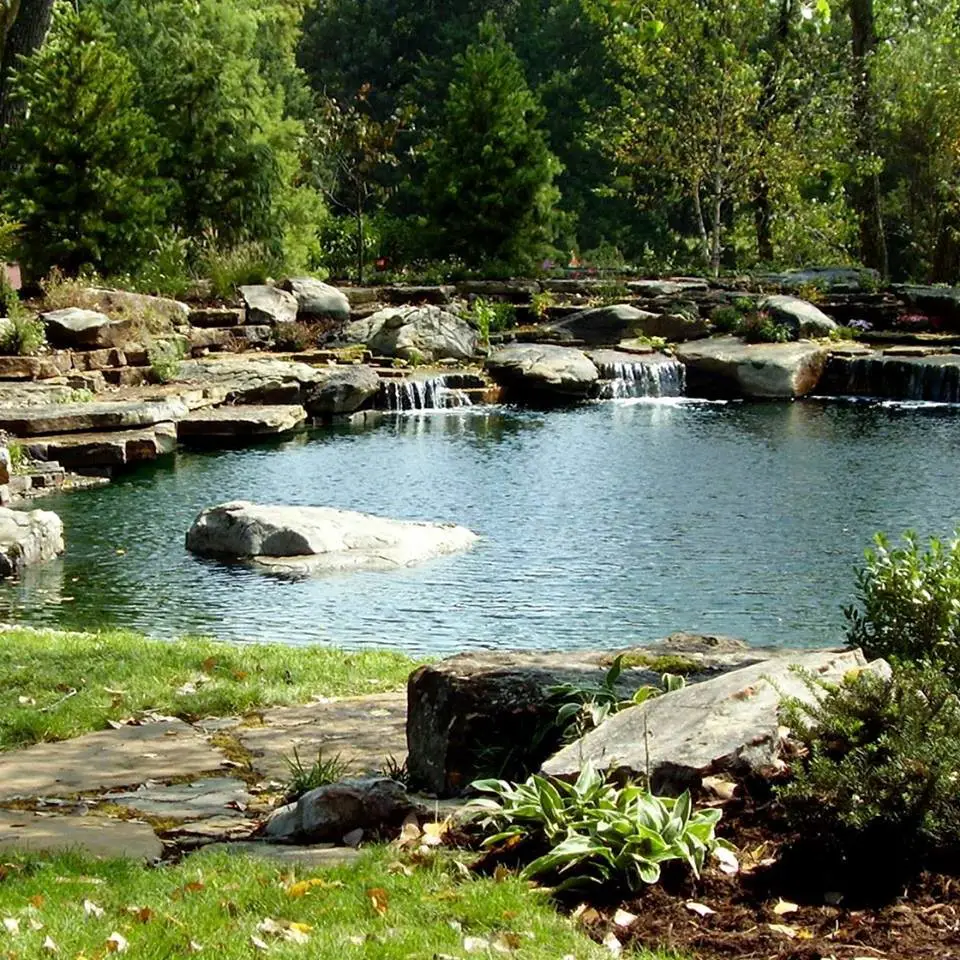 Natural Swimming Pool/Ponds
