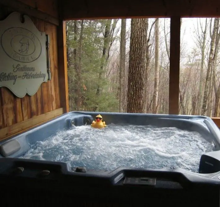 Pisgah Paws! Secluded with Private Hot Tub, Fireplace, View, WiFi,Pet ...