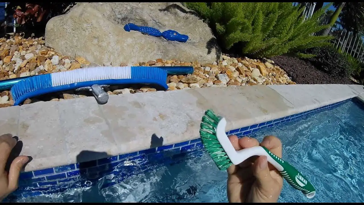 Pool Brushing DIY Do It Yourself Maintenance Guide!