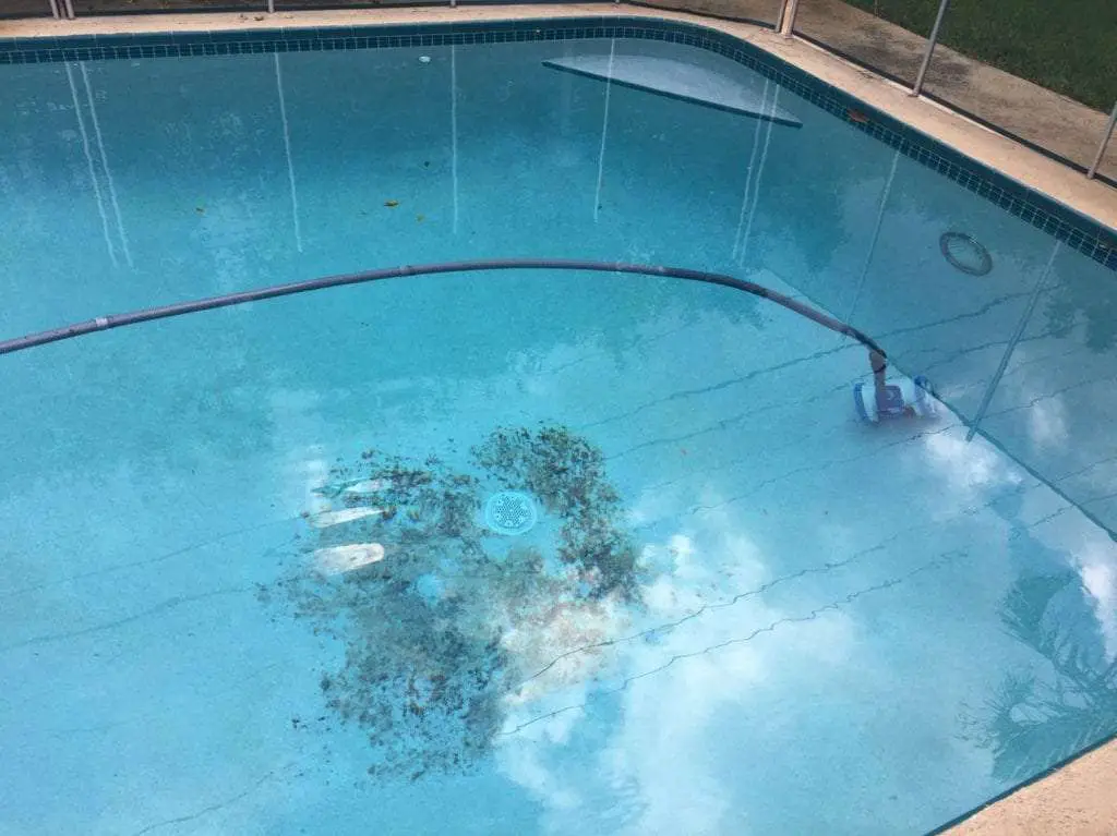 Pool Stain Removal 101