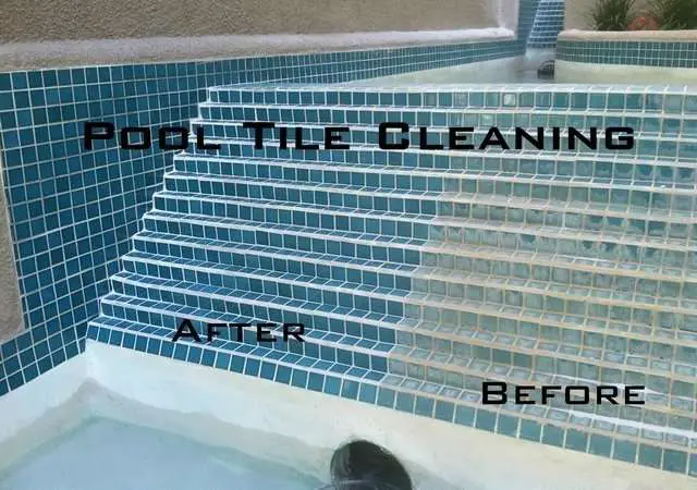 Pool Tile Cleaning  Project Details