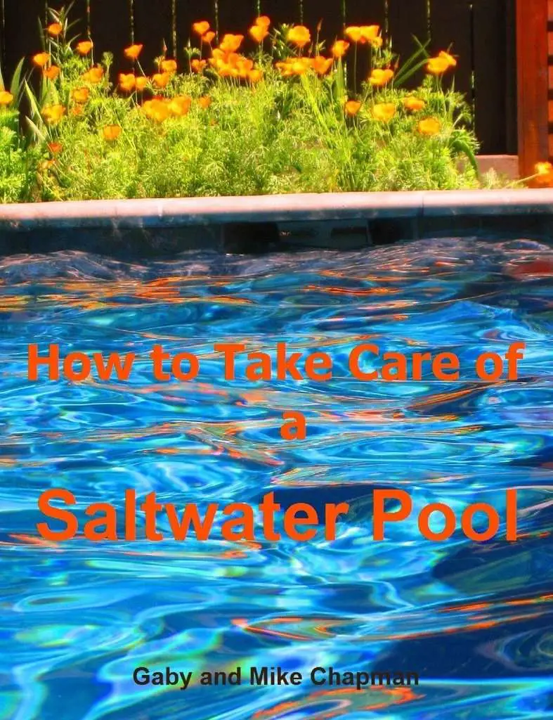 Read How to Take Care of a Saltwater Pool Online by Gaby ...
