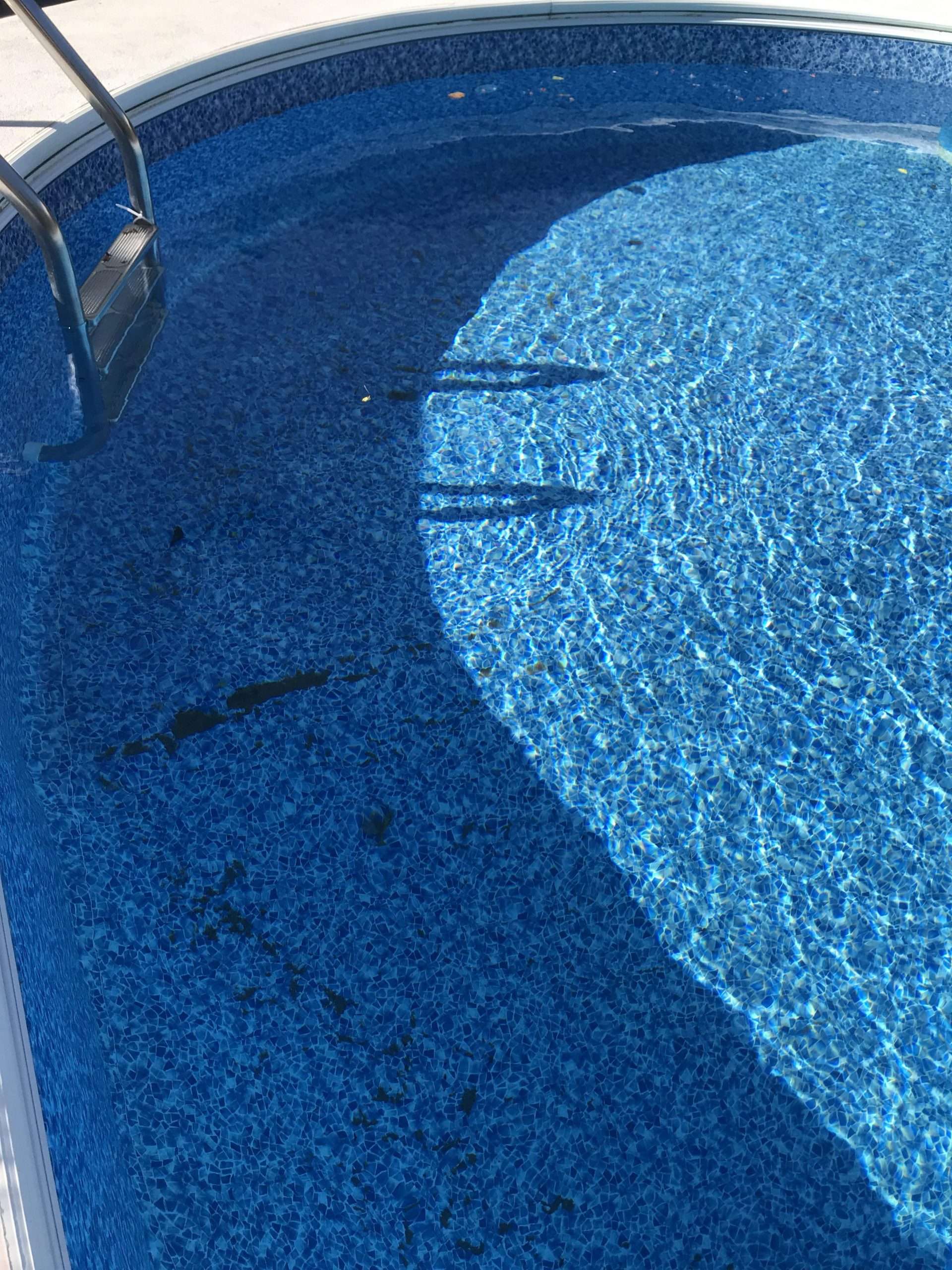 Sand in the pool. I just vacuumed and backwashed yesterday ...