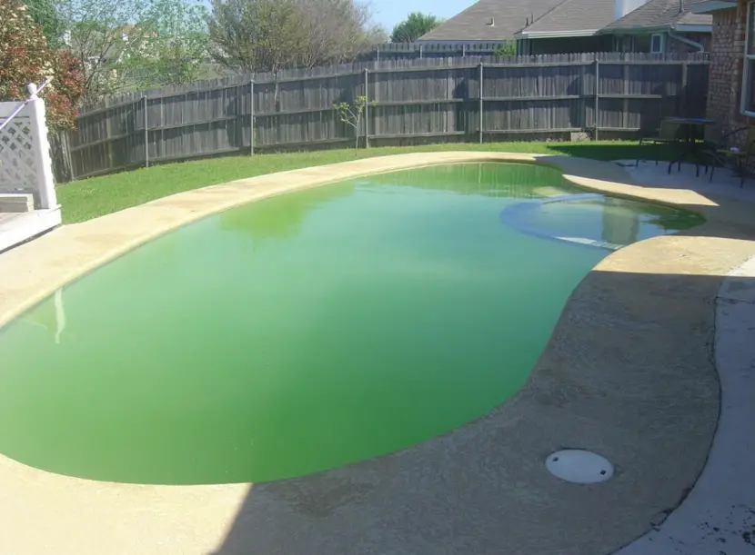 Swimming Pool Algae Removal â Pool Restoration in Brisbane