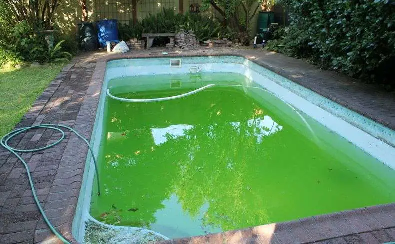 The Water In Your Pool is Green: What Do You Do Now?