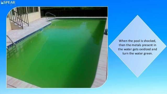 What Causes your Pool Water to Turn Green
