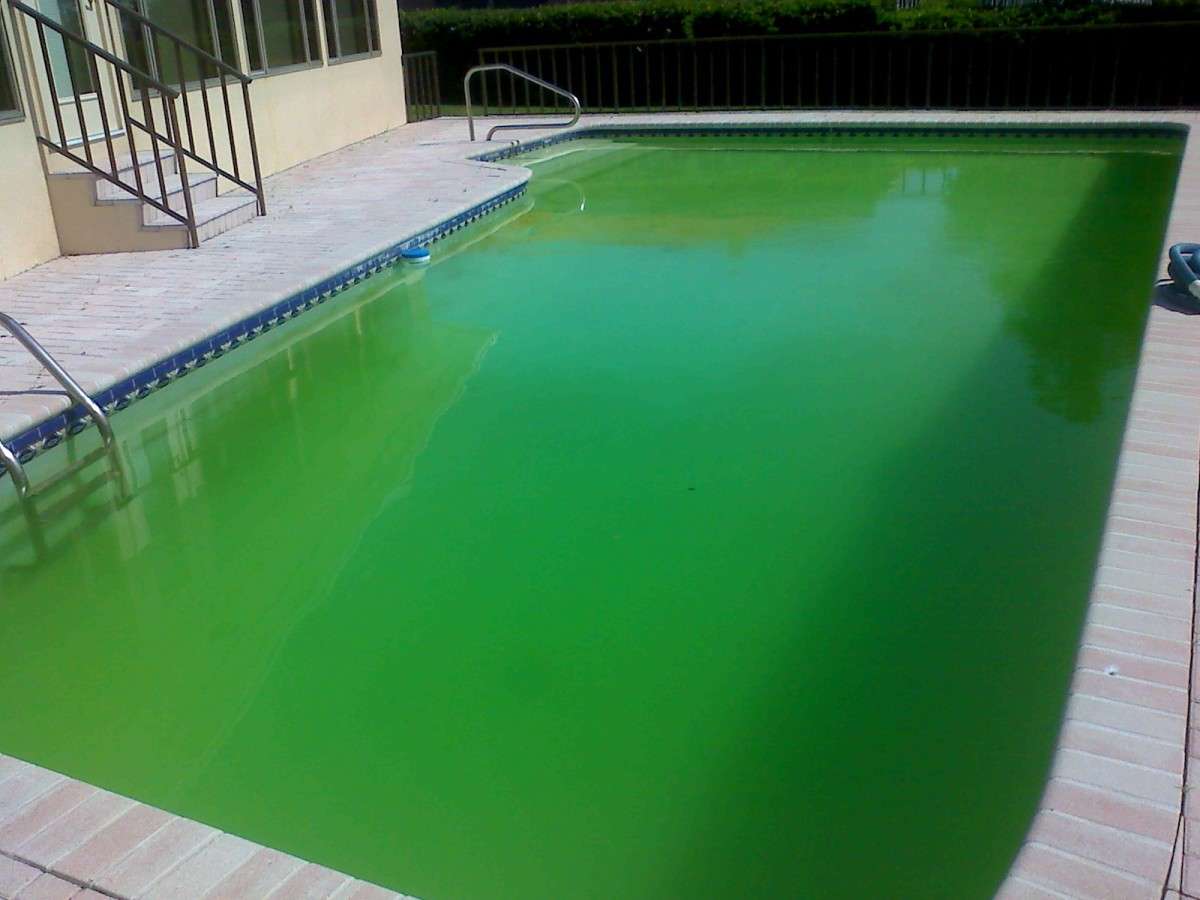 Why Is My Pool Green and Cloudy Even After Shocking?
