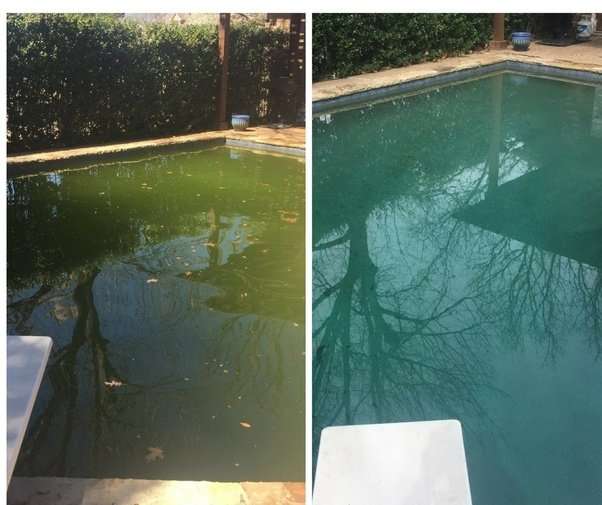 Why is my pool water still green after shocking?
