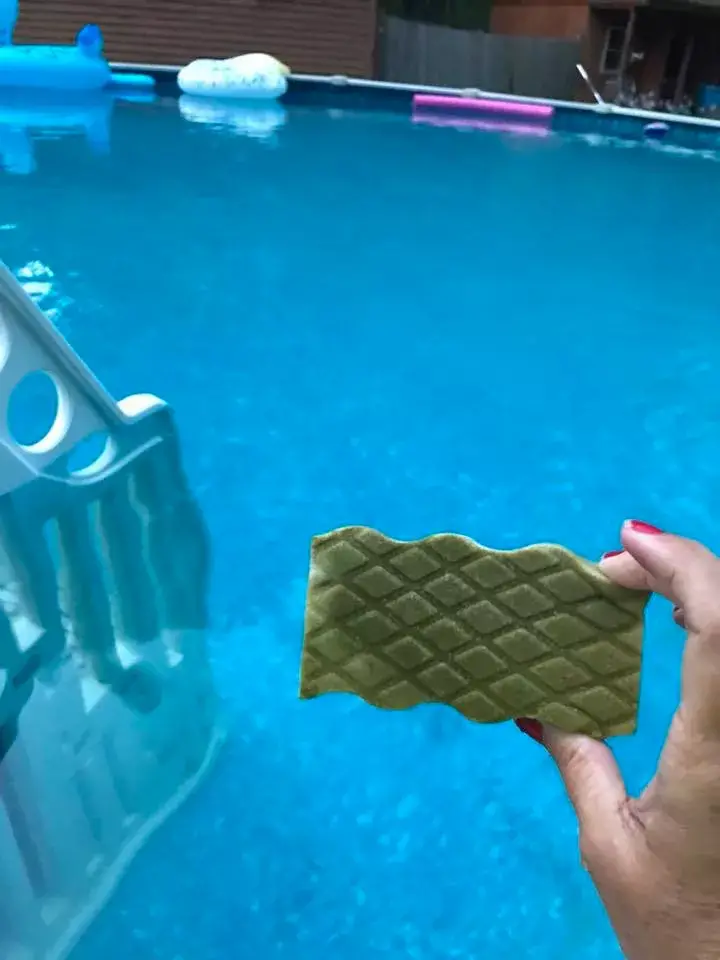 Woman Shares Cheap Hack To Make Your Pool Crystal Clear ...